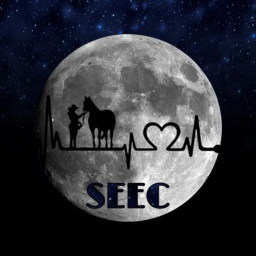 |~Solar Eclipse Equestrian Centre~|