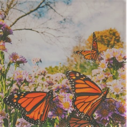 𝕘𝕖𝕥