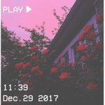Feelings~