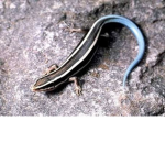Slug1's hangout !!