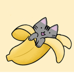 <Cat Banana Squad>