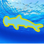 the real Shark squad