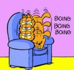 Garfield Club TM