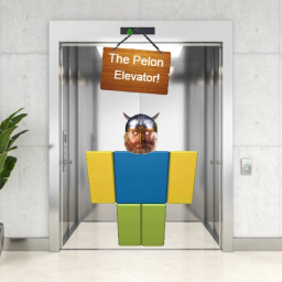 ¡El ascensor Pelon!