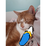 Bottle time