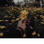 Aesthetic_thingz