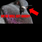 AFK Until 1k Donation