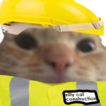 Silly Cat Construction Company