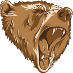 bears10