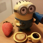 sol's minions