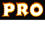 PRO BEDWARS GAMERS