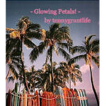 xox~Glowing petals~xox