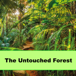 The Untouched Jungle