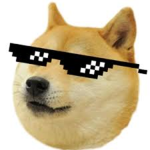 The borking doges