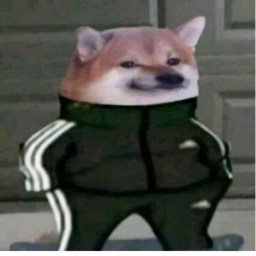 DTGS