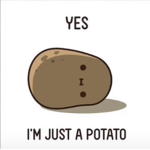 POTATOOOOOS :>