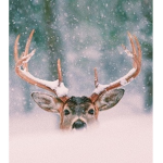 Reindeer's Pack!