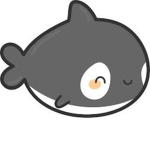 The Kiler Whale Group