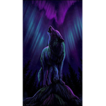 Wolf pack_🐺