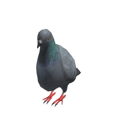 Pigeon Shirt thumbnail