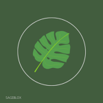 SageBlocks