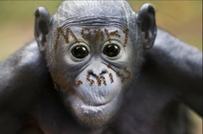 Monkey Business UGC Roblox group icon
