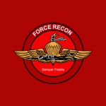 Force Recοnnaіssance, 1960's