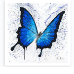 Beautiful Butterfly Baby’s!