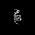 +Black empire+
