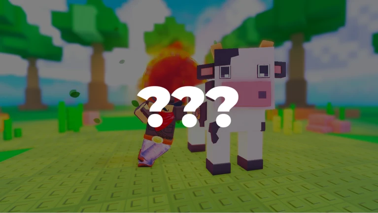 NEXT UPDATE