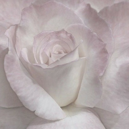 ♡