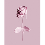 *+. Rosey’s Clothes .+*