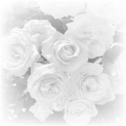 ⋆˚✿˖° 𐙚 ⊹♡