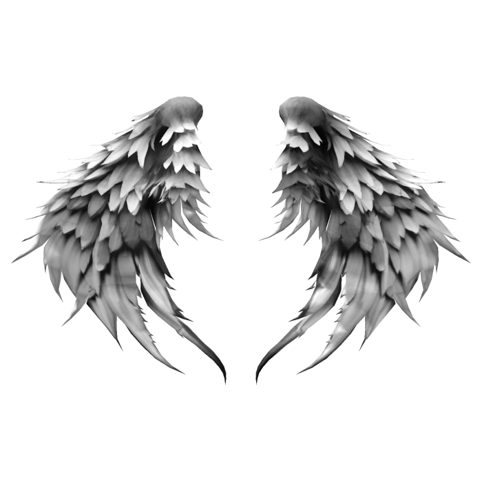 White Wings Feathers