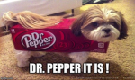 DR PEPPPPPERRRRRRRRR!!!