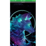 Wolfpack Squadss