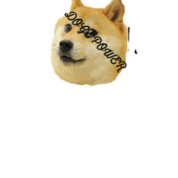Doge fire's Place Number: 5