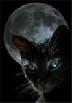 Moonclan(roleplaying group)