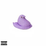 LIL PEEP STUDIOS Group Thumbnail
