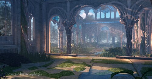 Druids Sanctuary • Showcase