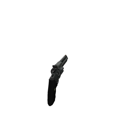 Revolver