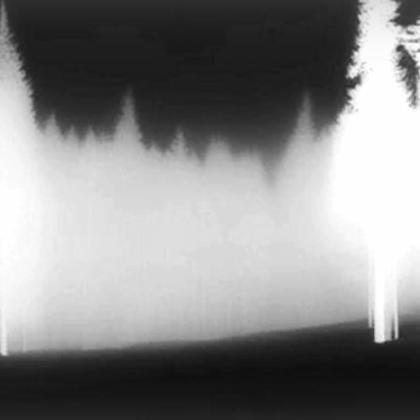 inverted snowy forest