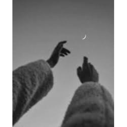 self
