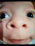 tuffernut