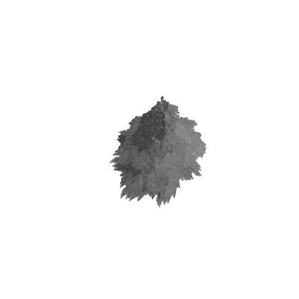Pine Tree