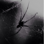 infect.