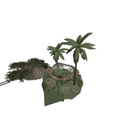Viet Cong