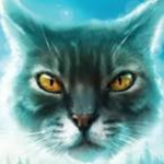 Warrior_ cats