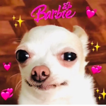 ShayBarbz