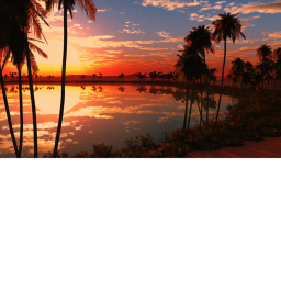 Nature Place